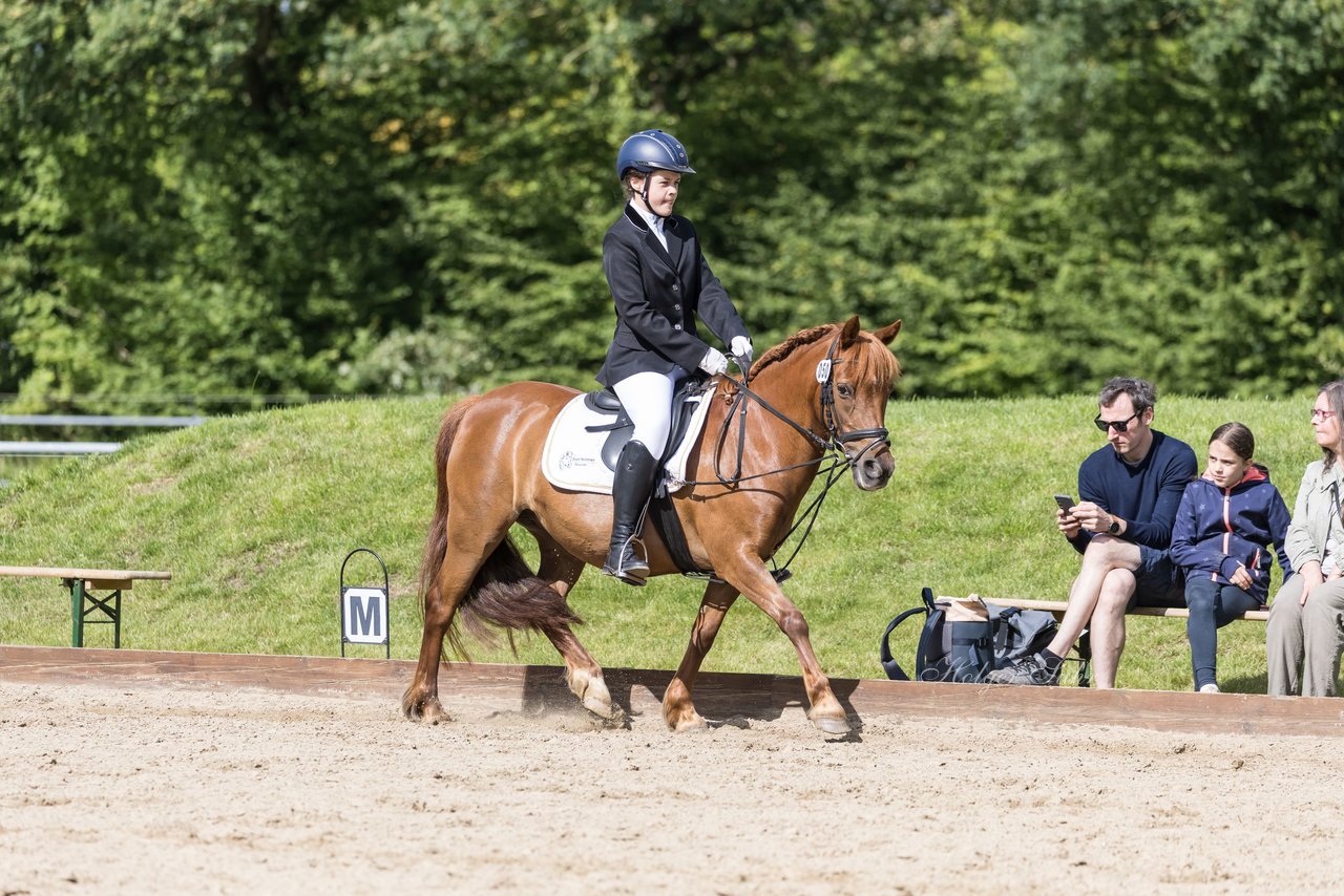 Bild 272 - Pony Akademie Turnier